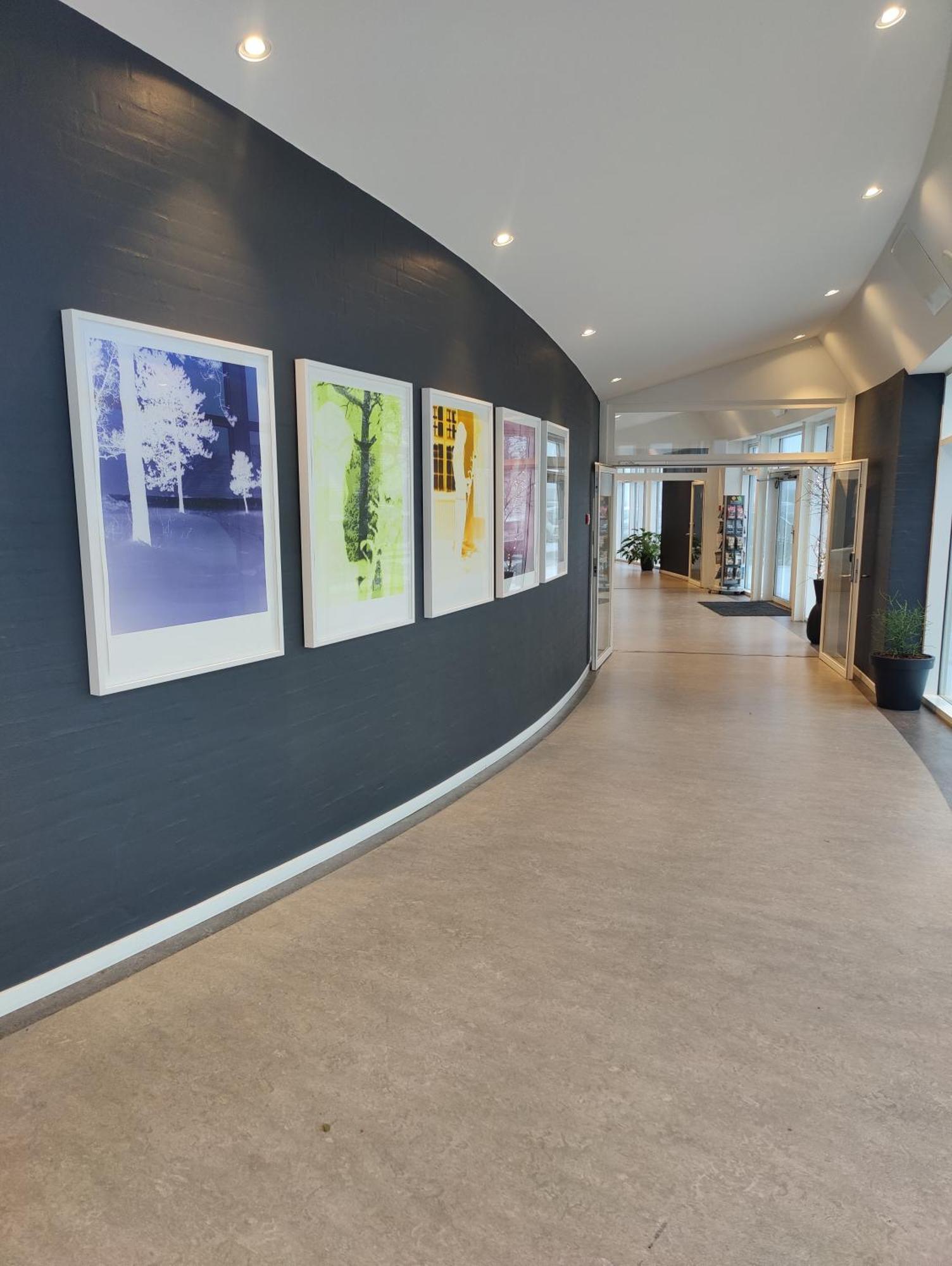 ניבורג Storebaelt Sinatur Hotel & Konference מראה חיצוני תמונה